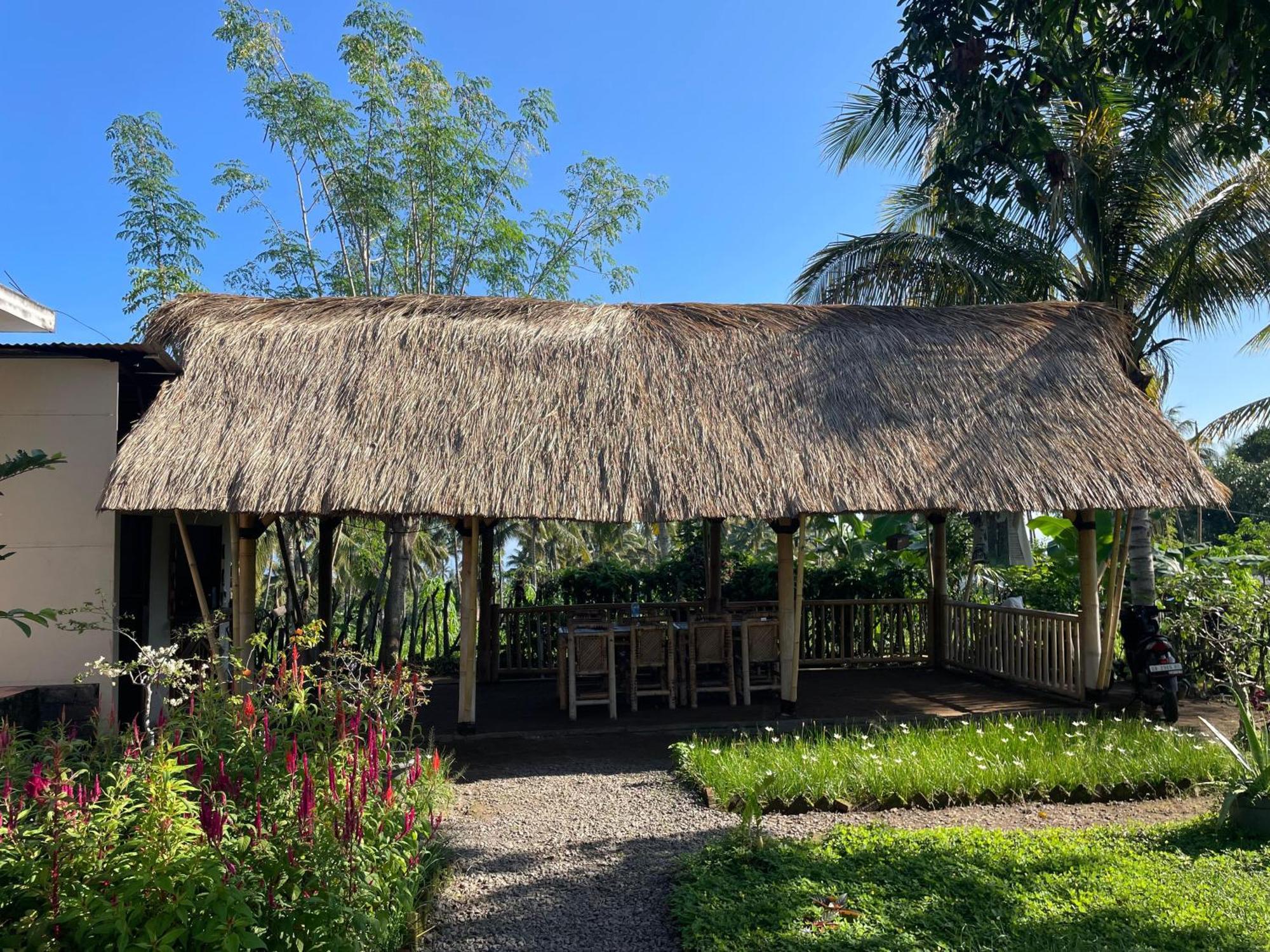 Rinjani Eco Villa Senaru Bayan Εξωτερικό φωτογραφία