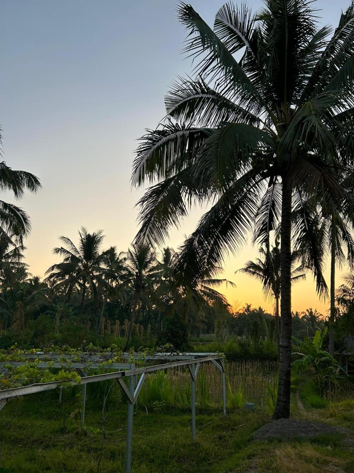 Rinjani Eco Villa Senaru Bayan Εξωτερικό φωτογραφία
