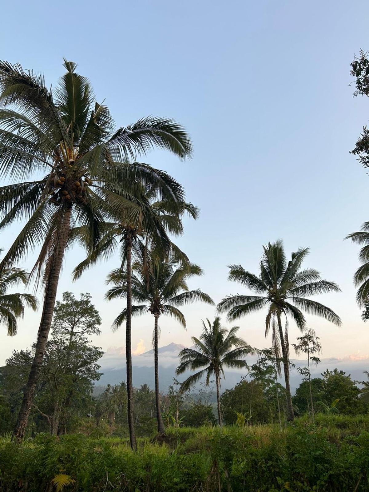 Rinjani Eco Villa Senaru Bayan Εξωτερικό φωτογραφία