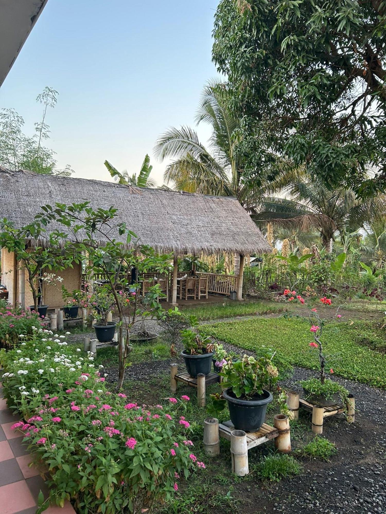 Rinjani Eco Villa Senaru Bayan Εξωτερικό φωτογραφία