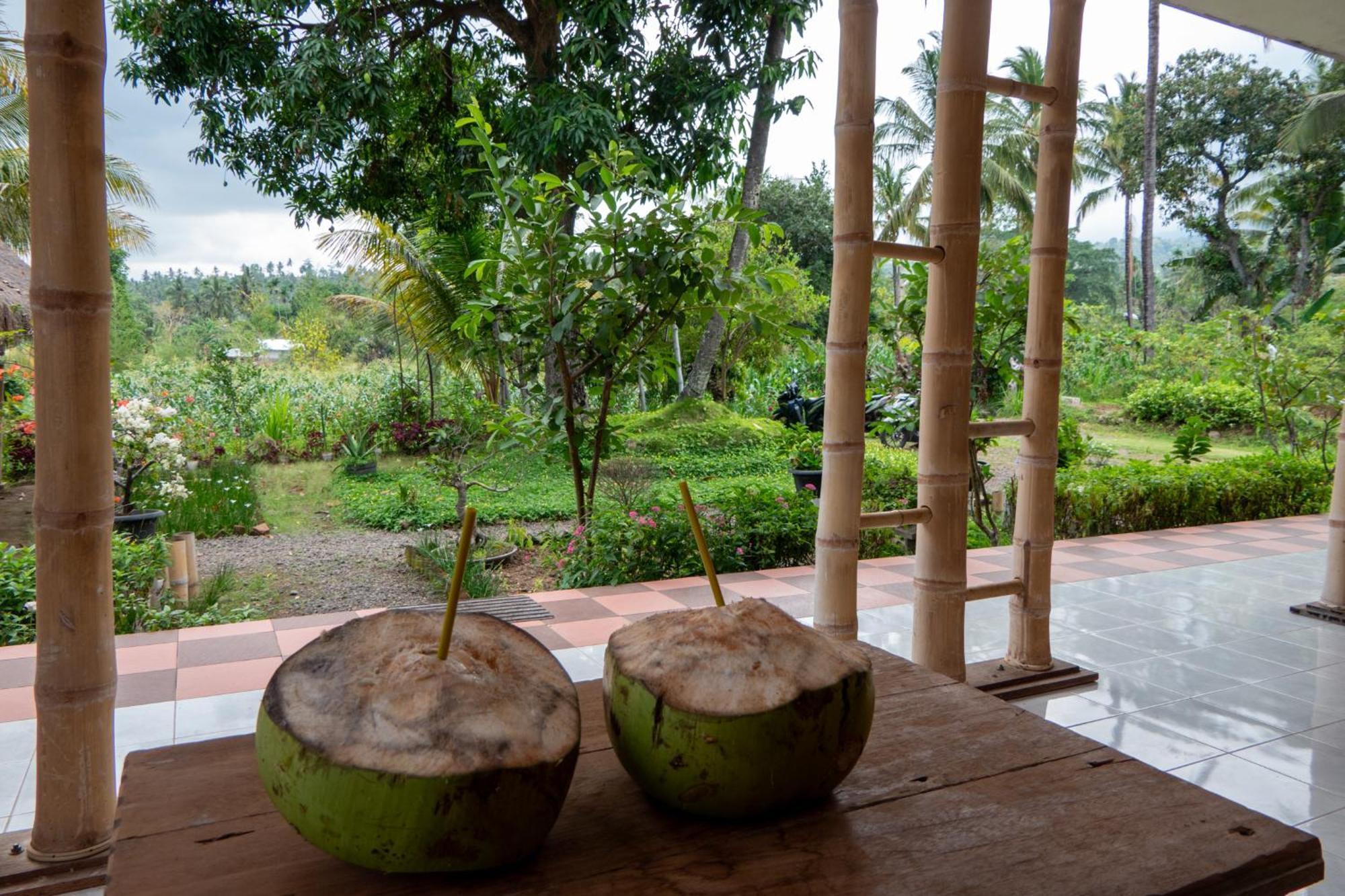 Rinjani Eco Villa Senaru Bayan Εξωτερικό φωτογραφία